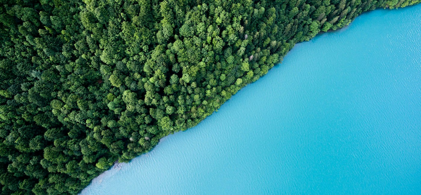 Aerial view of a forest meeting a turquoise lake